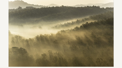 FOGGY VALLEY