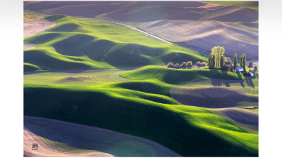 The spring of Palouse II