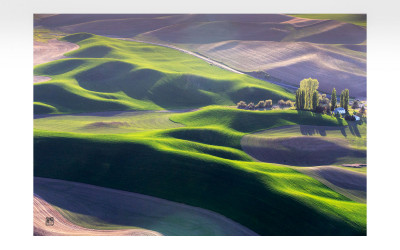 The spring of Palouse II