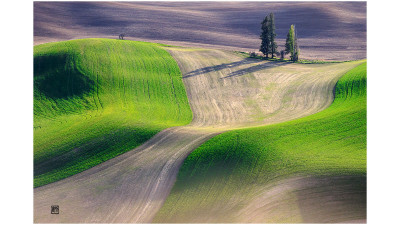 The spring of palouse 3