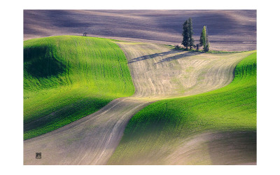 The spring of palouse 3