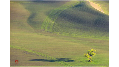 The spring of palouse 4