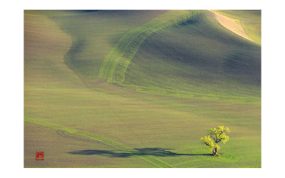 The spring of palouse 4