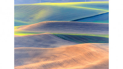 The spring of palouse 5