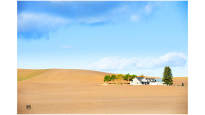 The spring of palouse 6