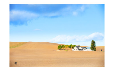 The spring of palouse 6