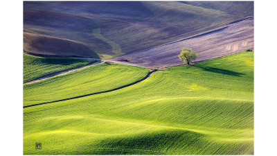 The spring of palouse 7