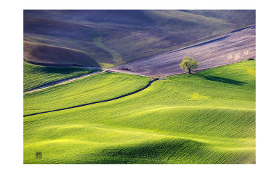 The spring of palouse 7