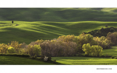 VAL D'ORCIA