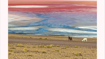 LAGUNA COLORADA