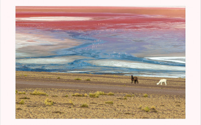 LAGUNA COLORADA