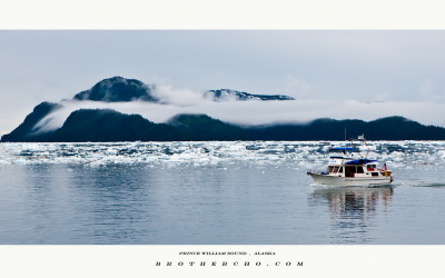 PRINCE WILLIAM SOUND