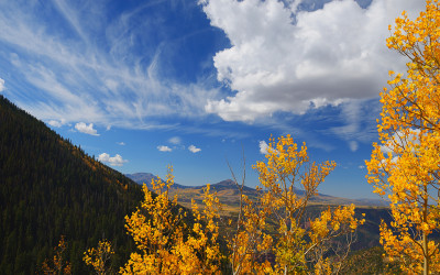 Alder Creek Mt.