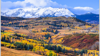 Fall Colour
