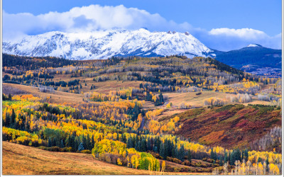 Fall Colour