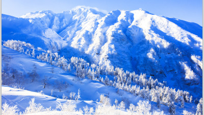 雪   局