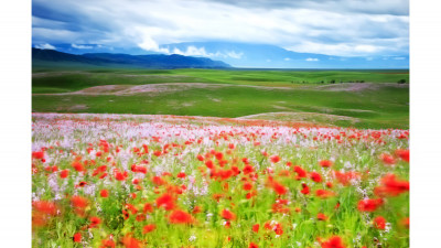 바람불어 좋은날