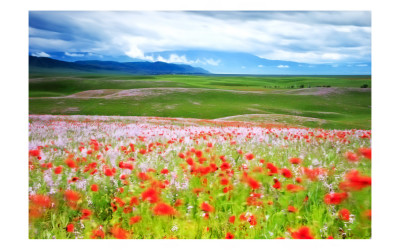 바람불어 좋은날