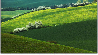 Spring on the Green Waves