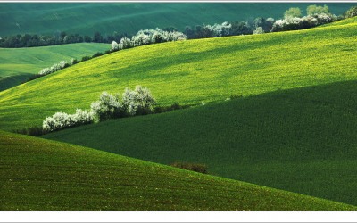 Spring on the Green Waves