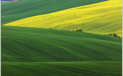 South Moravia