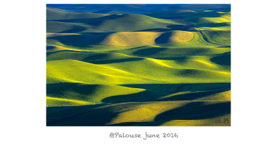 palouse