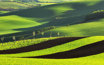 Moravia