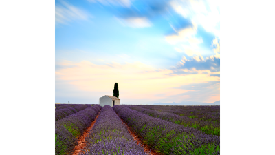 valensole