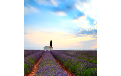 valensole