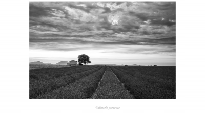 Valensole