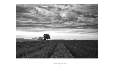 Valensole