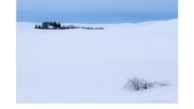 palouse -1