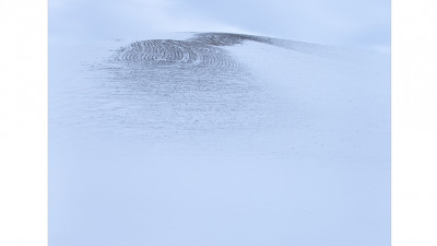 palouse 8