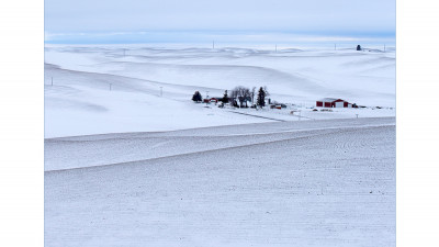 palouse 11