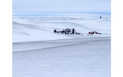 palouse 11