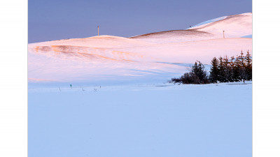 palouse 14