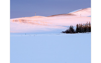 palouse 14