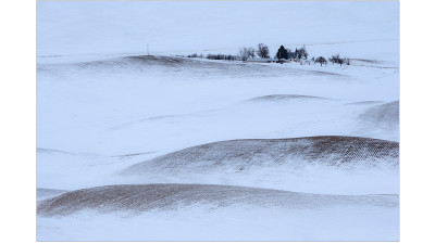 palouse 15