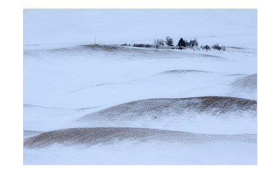 palouse 15