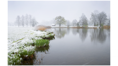 Kochelsee