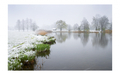 Kochelsee