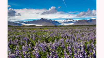 ICELANDIC SUMMER