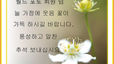 추석 명절