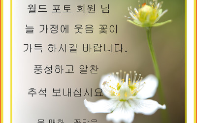 추석 명절