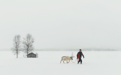 핀란드 겨울