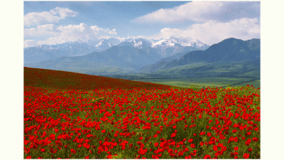 키르키스탄