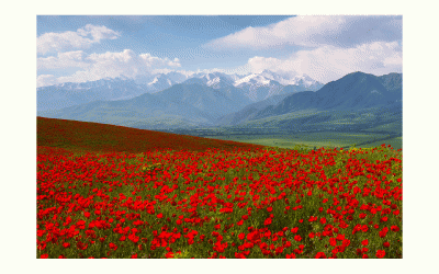 키르키스탄
