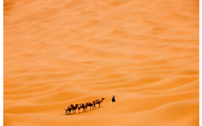 사막 기관차