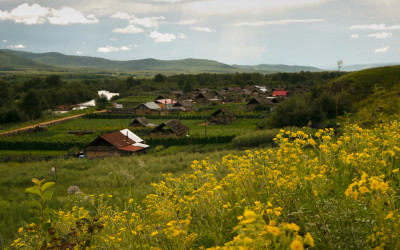 Wild Flower Village