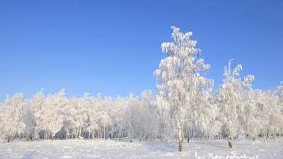 시베리아의 겨울 1
